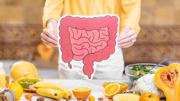 Bowel model and variety of healthy fresh food stock photo