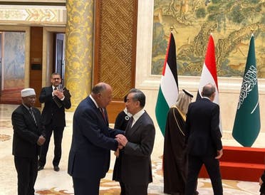 وزير الخارجية المصري مع نظيره الصيني 