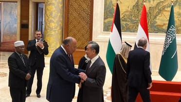 وزير الخارجية المصري مع نظيره الصيني 