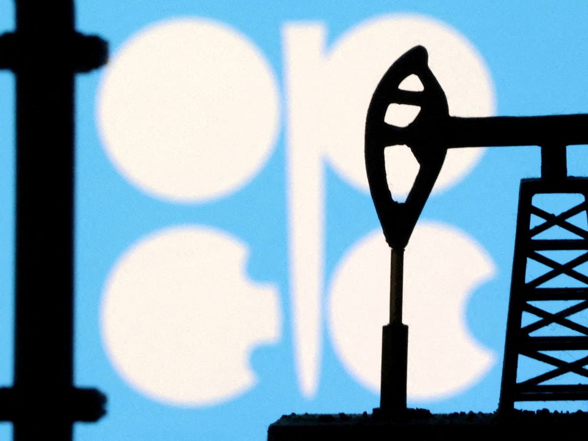 IEA sees surplus oil supply in 2024 even if OPEC+ extends current cuts