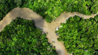 Why protecting the Amazon Rainforest should be key in COP28 talks: Experts