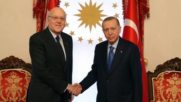 Lebanese Prime Minister Najib Mikati after a closed meeting with Turkish President Recep Tayyip Erdogan in Istanbul. (www.tccb.gov.tr)