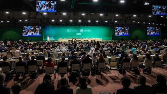 كيف ستقيس الدول عملها المناخي في مؤتمر "كوب 28"؟