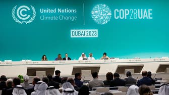 Obesity, climate change, undernutrition to be addressed at first COP28 Health Day  