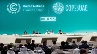 COP28 President Sultan Ahmed al-Jaber speaks during national statements at the World Climate Action Summit during COP28 in Dubai, December 1, 2023. (Reuters)