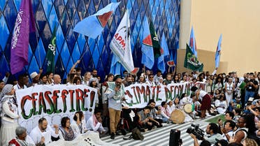 Climate activists protest in support of Palestinians in Gaza, at the United Nations Climate Change Conference (COP28) in Dubai, United Arab Emirates, December 3, 2023. (Reuters)
