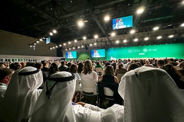 Participants attend a COP28 a plenary session at the United Nations climate summit in Dubai on December 13, 2023. (Reuters)