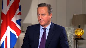 British Foreign Secretary David Cameron on Israel-Hamas war
