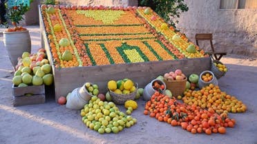 The Royal Commission for AlUla launched the third AlUla Citrus Festival on Friday. This event takes place during the harvest season and showcases various types of citrus fruit grown in AlUla farms. (SPA)