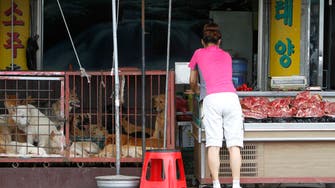 S. Korea parliament passes bill banning dog meat trade