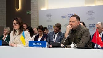 World leaders meet in Davos on Ukraine ‘peace formula’