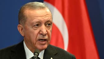 Erdogan vows to expand military operations against Kurdish militia in Iraq, Syria
