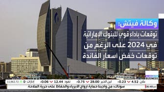 "فيتش" تؤكد على متانة البنوك الإماراتية