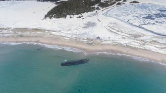 کشف لاشه یک کشتی در سواحل کانادا