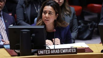 International law cannot be an ‘a la carte menu:’ UAE says at ICJ hearing
