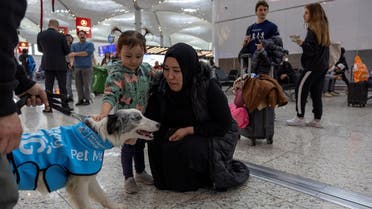 Therapy dogs roam Istanbul Airport, searching for stressed passengers who are looking to calm their nerves before they board their flight, in Istanbul, Turkey, March 11, 2024. REUTERS/Umit Bektas