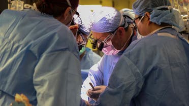 השתלת כליית חזיר שנעשתה גנטית הראשונה בעולם למקבל חי בוצעה בבית החולים הכללי של מסצ'וסטס