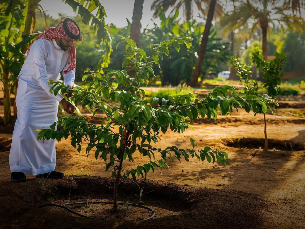 Saudi Arabia marks first Saudi Green Initiative Day