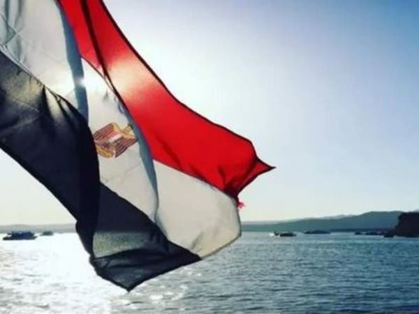 Egyptian fertilizer plants shut down temporarily due to gas supply pressures