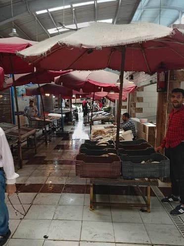 صور لمحلات بيع أسماك خالية من الزبائن في بورسعيد شمال مصر