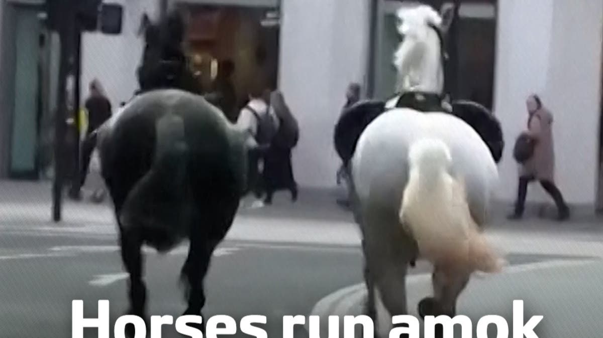Τα άλογα τρέμουν στο κέντρο του Λονδίνου