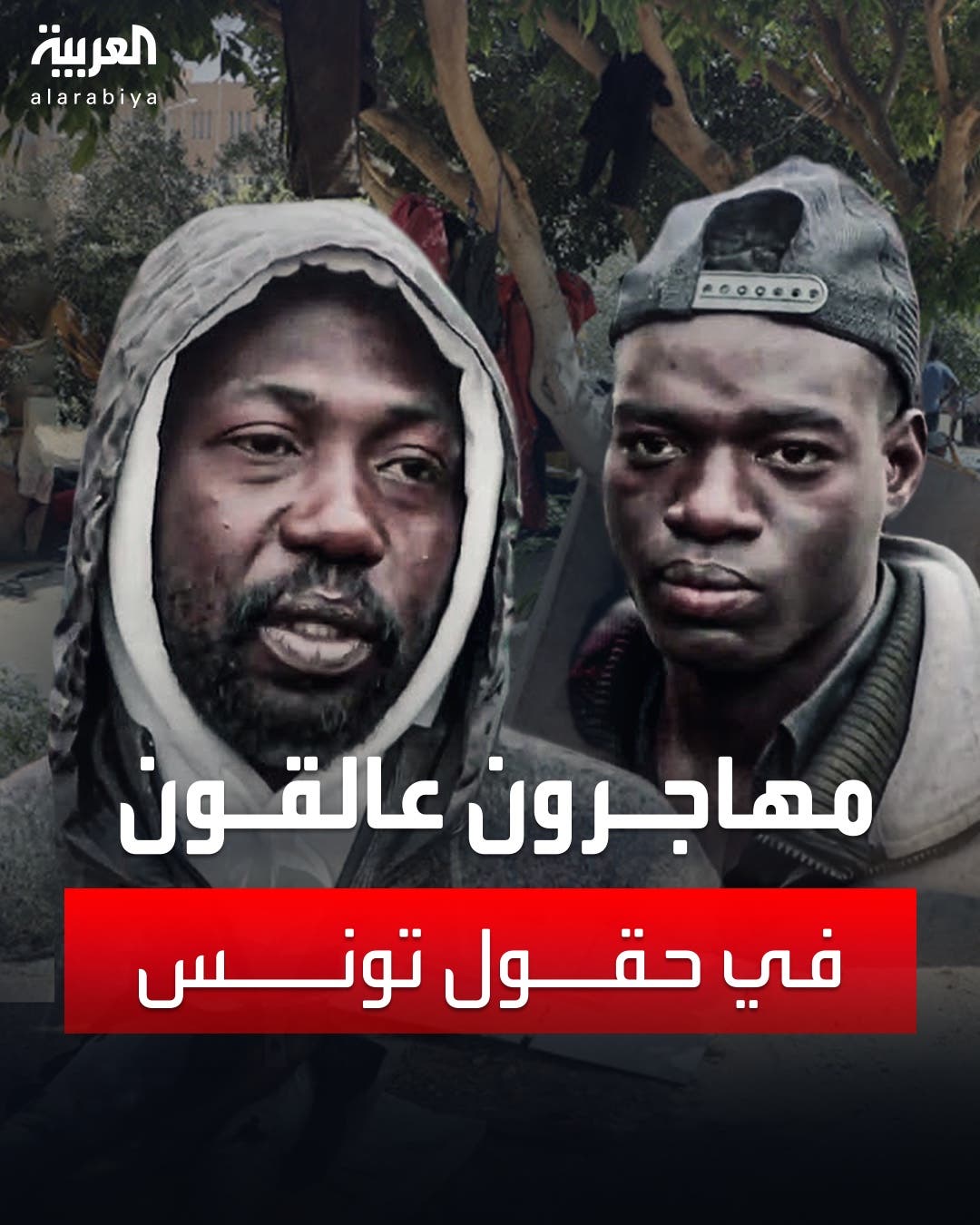 مآسٍ لمهاجرين غير شرعيين يحلمون بجنة أوروبا عالقين في حقول تونس