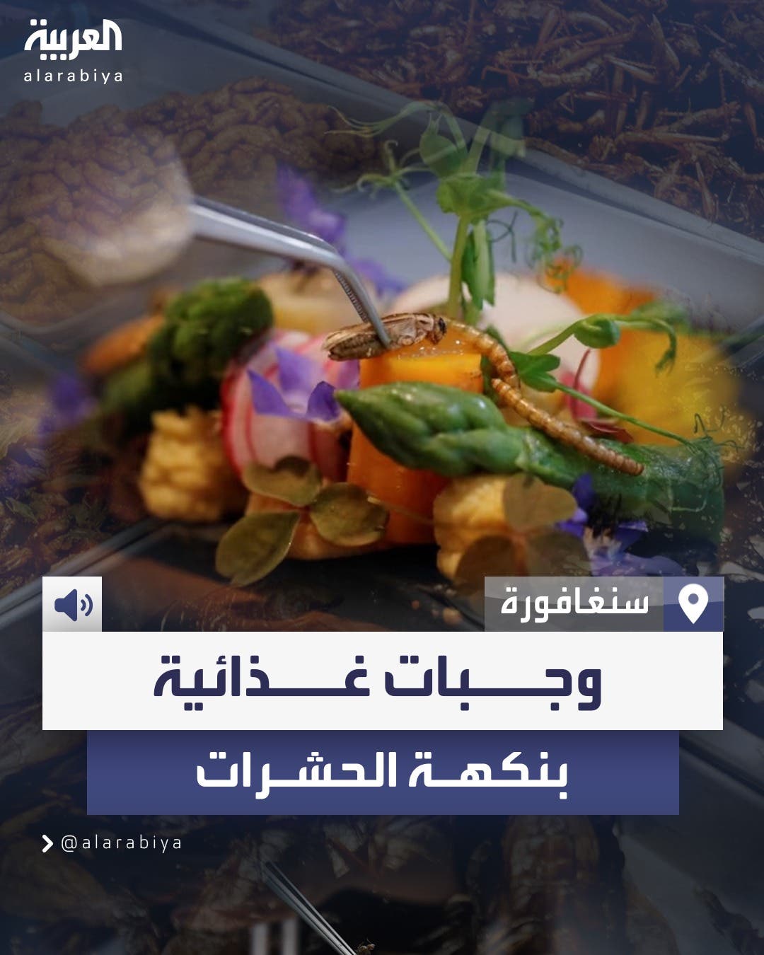 من بينها الصراصير والديدان المشوية.. سنغافورة توافق على استهلاك الحشرات كغذاء للبشر من بينها الصراصير والديدان المشوية.. سنغافورة توافق على استهلاك الحشرات كغذاء للبشر
