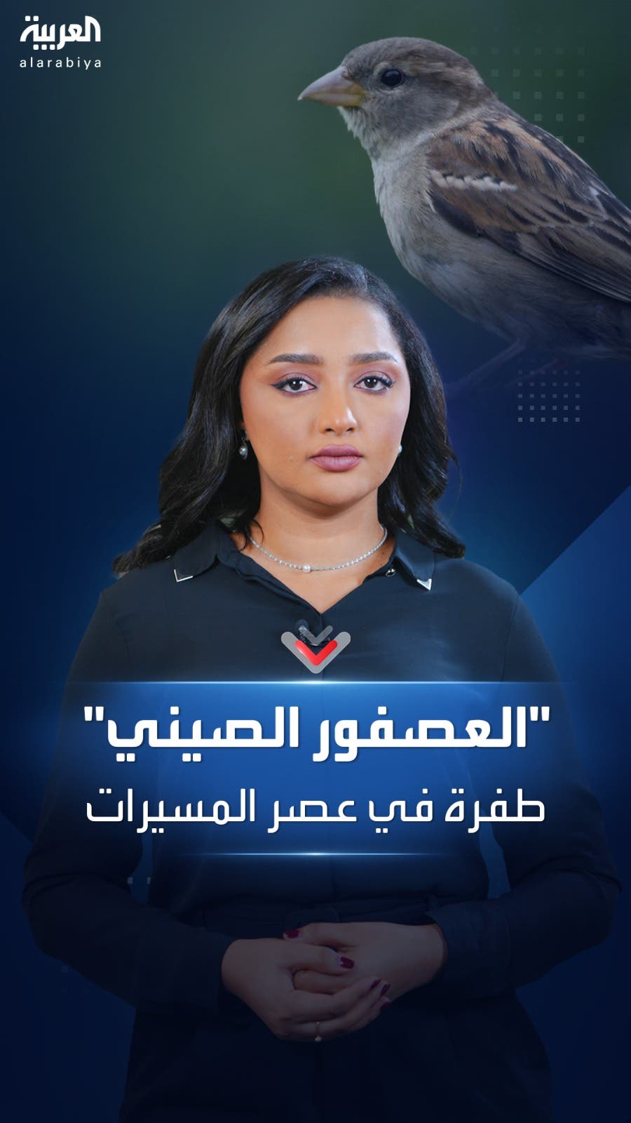مسيرة صينية جديدة على شكل طائر تشكل طفرة في عصر المسيرات مسيرة صينية جديدة على شكل طائر تشكل طفرة في عصر المسيرات