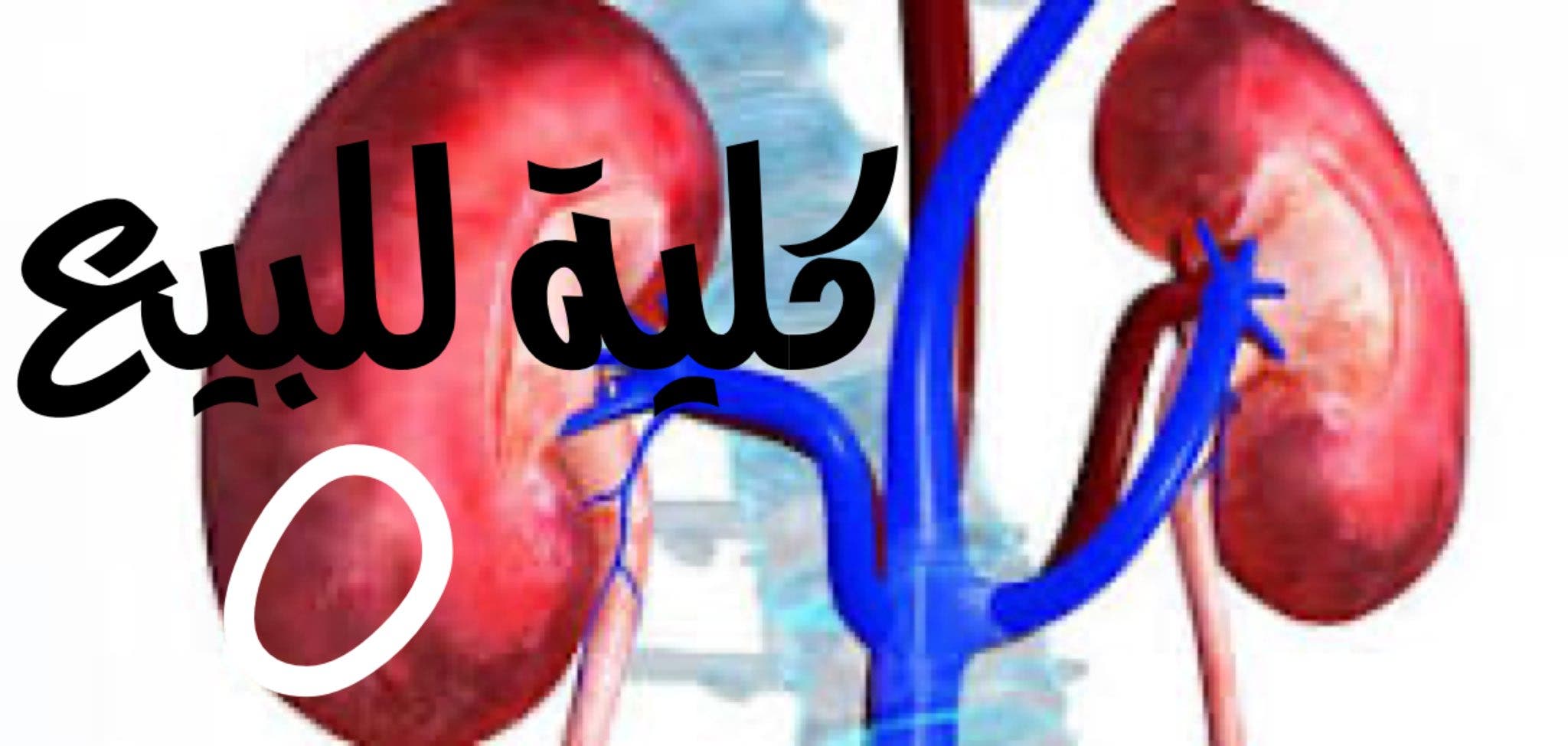 بيبع الكلى بيبع الكلى