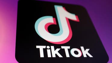 The TikTok app logo is seen in this illustration taken January 16, 2025. REUTERS/Dado Ruvic/Illustration