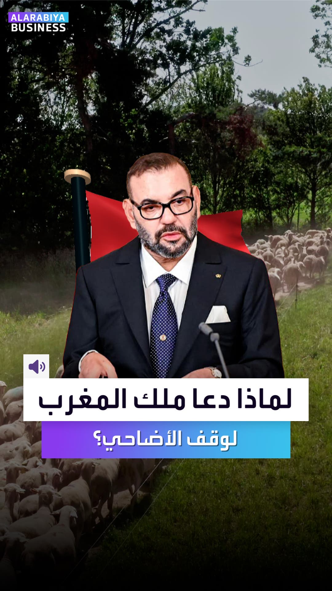 لماذا دعا ملك المغرب لوقف الأضاحي؟