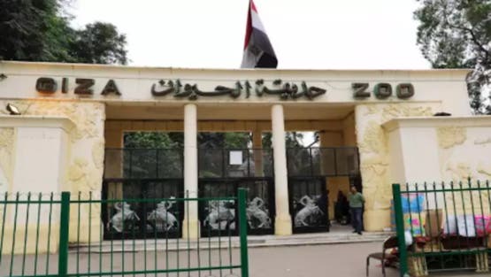 حديقة حيوان الجيزة في ثوبها الجديد تستقبل زوارها في هذا الموعد