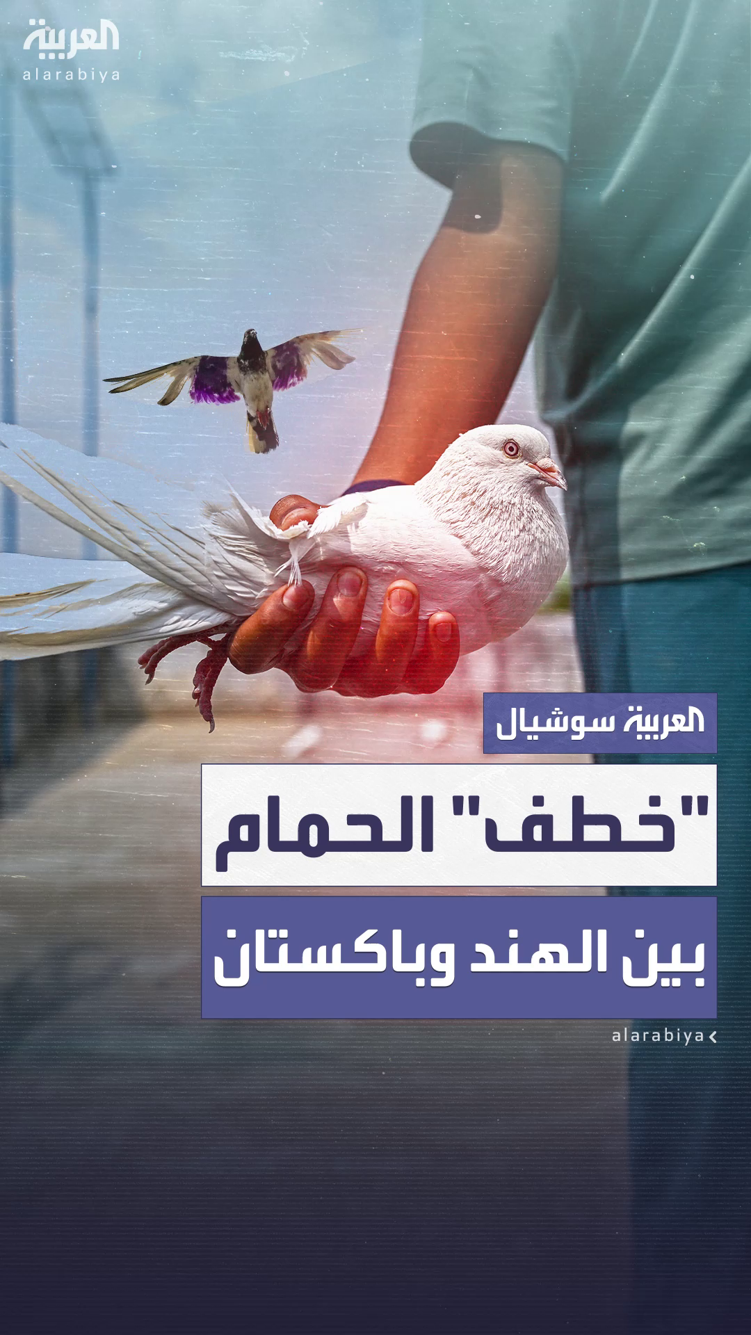 على حدود ملتهبة... سباق لخطف على حدود ملتهبة... سباق لخطف