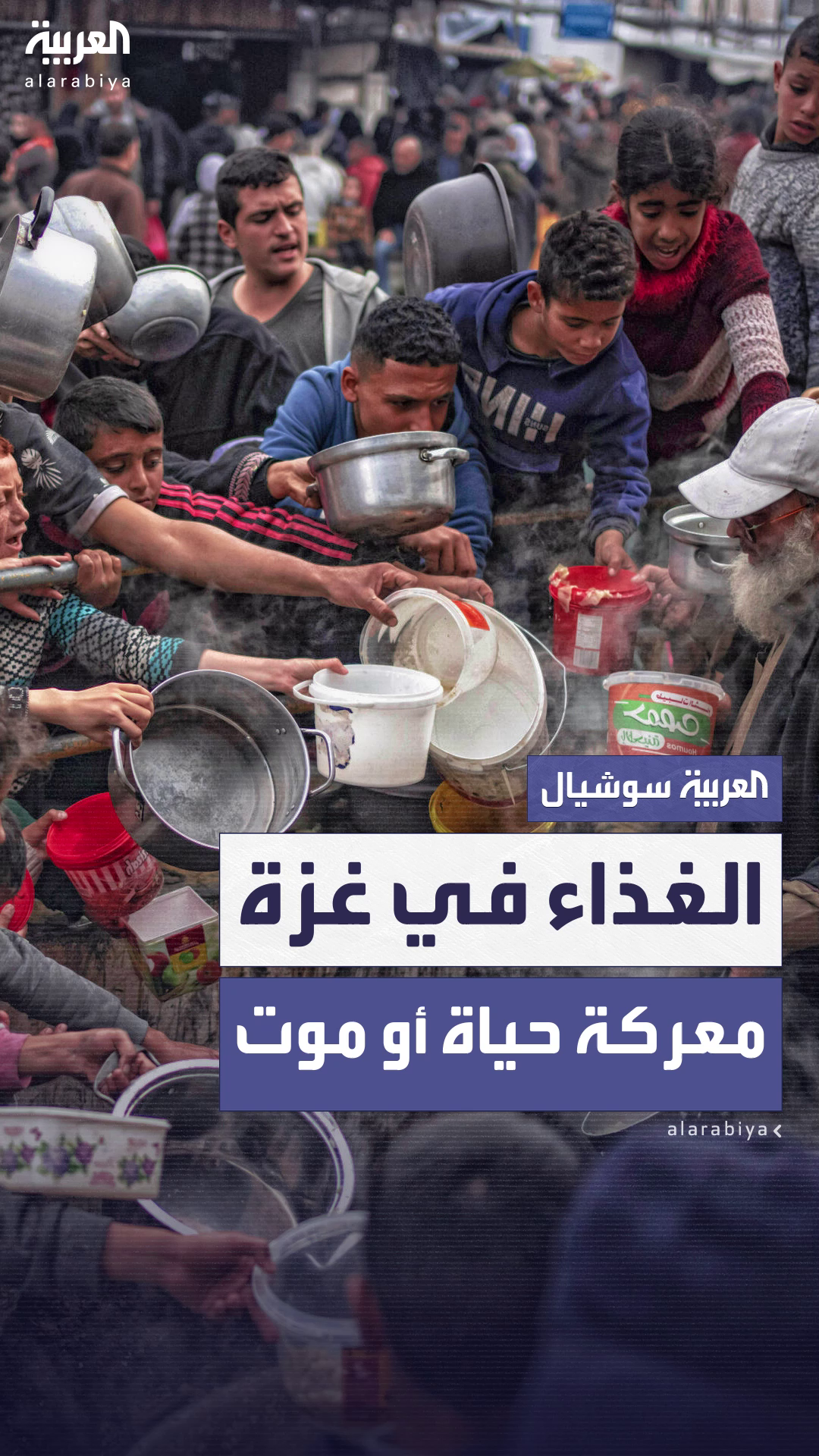 مسؤول أممي: أكثر من 400 قتيل أثناء محاولات الوصول إلى الغذاء في غزة مسؤول أممي: أكثر من 400 قتيل أثناء محاولات الوصول إلى الغذاء في غزة