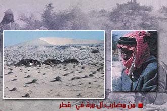 قبيلة قطرية تتعرض لنزع جنسية جماعي لمساندتها والد أمير قطر