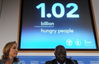 Financial Crisis Pushes 100 Mln Into Hunger: UN