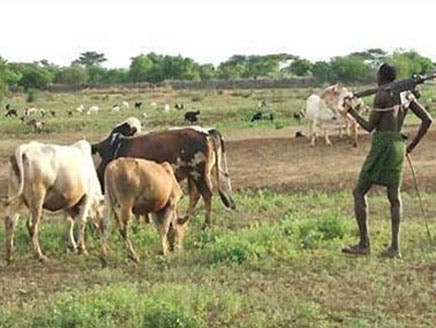 About 34,000 people flee S.Sudan tribal clashes:UN