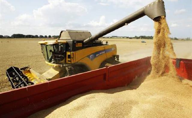World food prices seen falling more in September