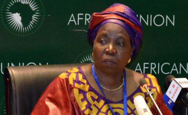 South African Elected First Female Au Commission Head