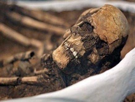 اكتشاف هيكل عظمي في كينيا يعود لنوع جديد من البشر