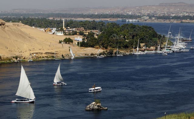 Egypt, Sudan could seek military action over Nile: WikiLeaks