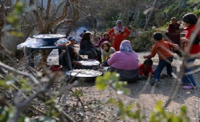 Civilians cut down rare Syrian trees for firewood